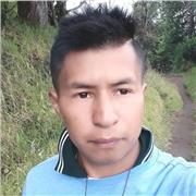 impartir clases a persona quienes quieren aprender un nuevo idioma